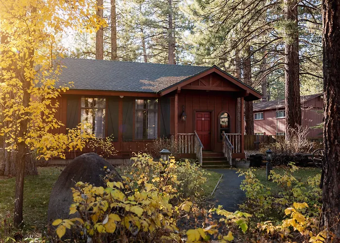 Black Bear Lodge