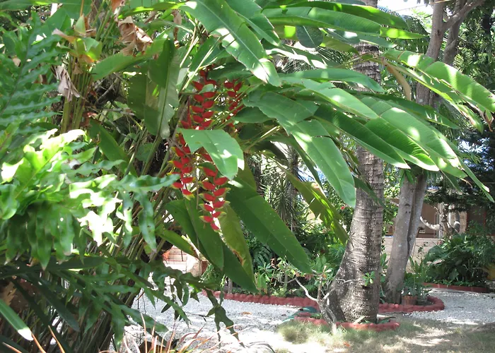 Bamboo Paradise Beach Resort