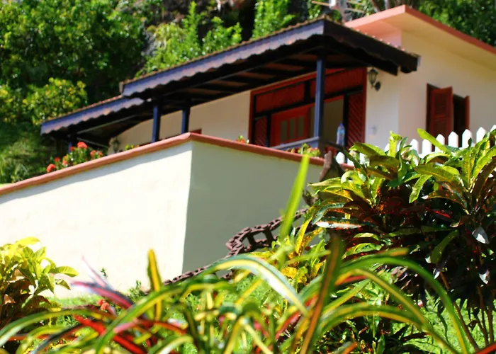 Samfi Gardens