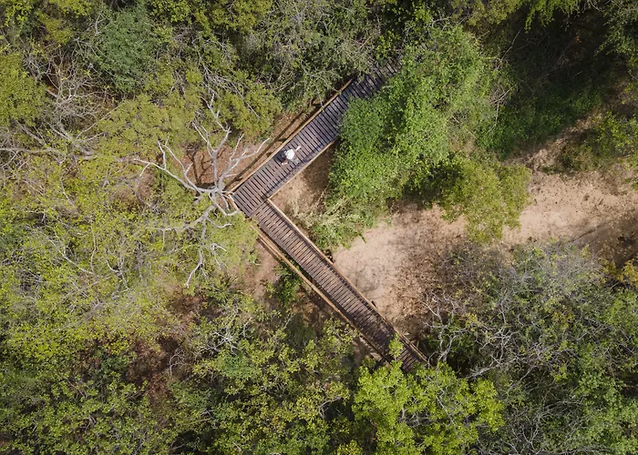 Panzi Lodge