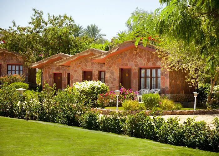 Xperience Hill-Top Beach Resort - Adults Only