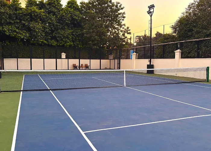 Dlf Club 3