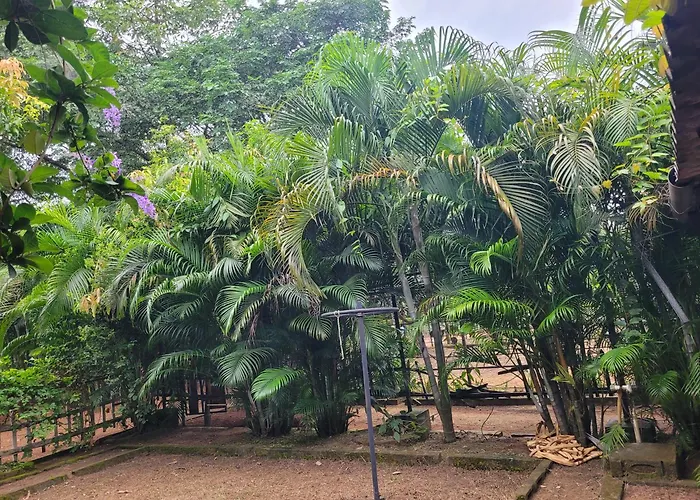 Panchobon Art Resort