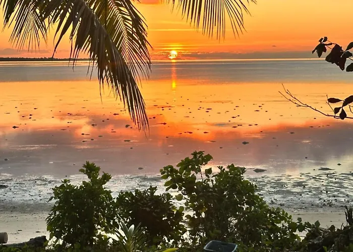 Hoga Island Dive Resort Wakatobi