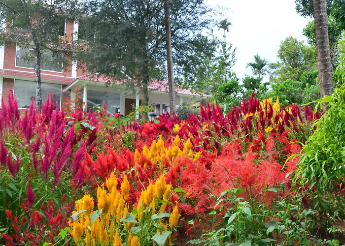 Lakerose Wayanad Resort