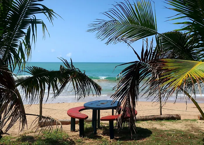 Afro Beach Eco Resort Butre