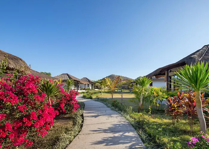Mocean Beach Resort