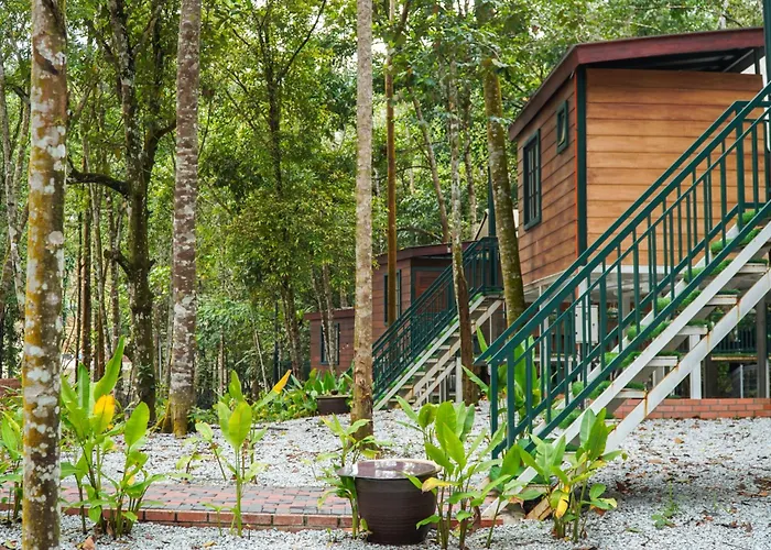 Skytree Glamping - Huda'S Haven