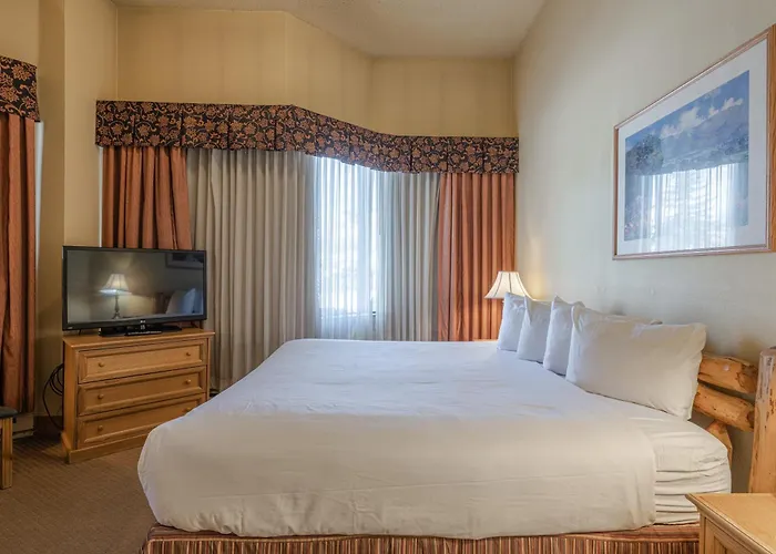 Cozy Pet-Friendly King Studio In Mt, Crested Butte Condo