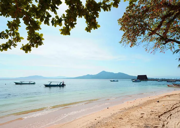 Ps Bunaken Resort And Dive