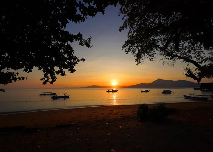 Ps Bunaken Resort And Dive