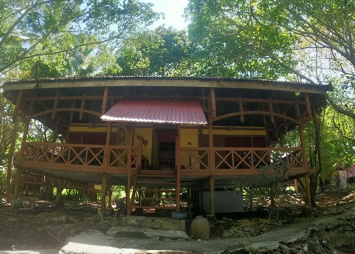Hoga Island Dive Resort