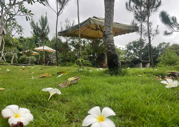 Nha Ben Doi - The Hill House
