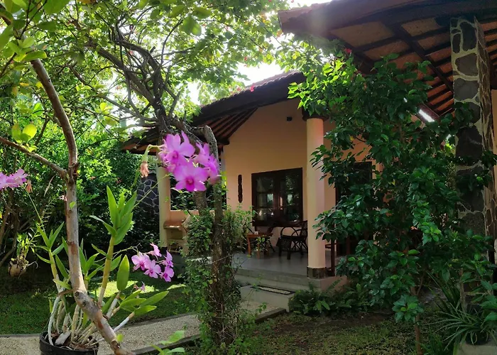 1000 Dream Bungalow
