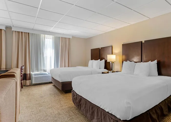 Comfort Inn & Suites Triadelphia - Wheeling