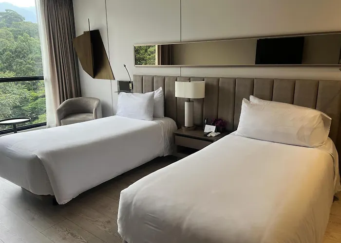 York Medellin, Curio Collection By Hilton