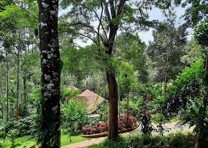 Willow Resorts Wayanad