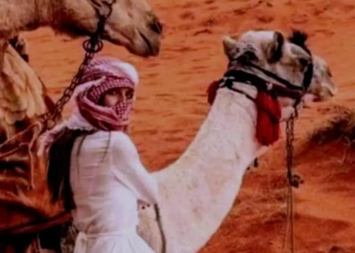 Wadi Rum Sand Moon Camp &Tour