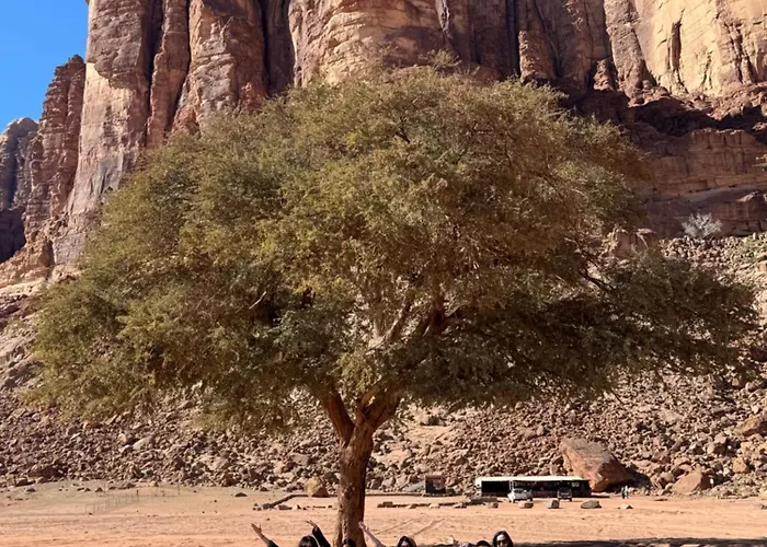 Bedouin Cave