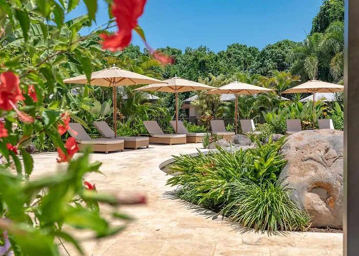 Nala Resort