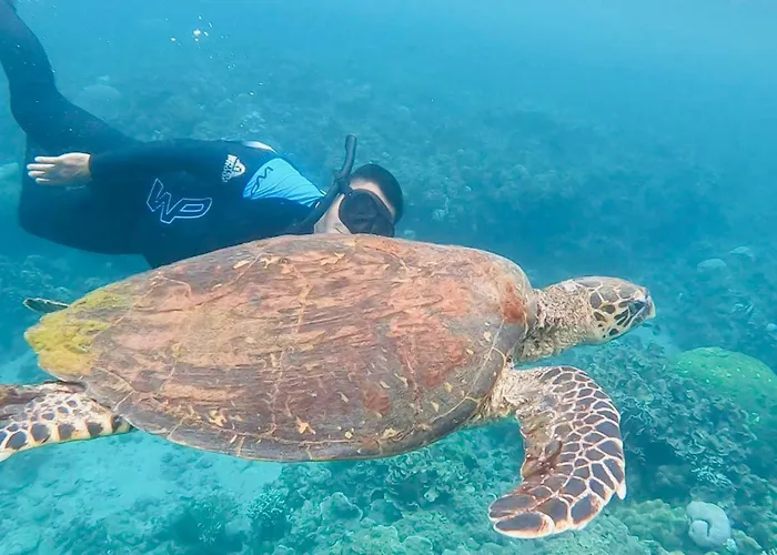 Kantil Dive Resort