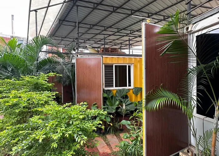 Untold Nights Auroville