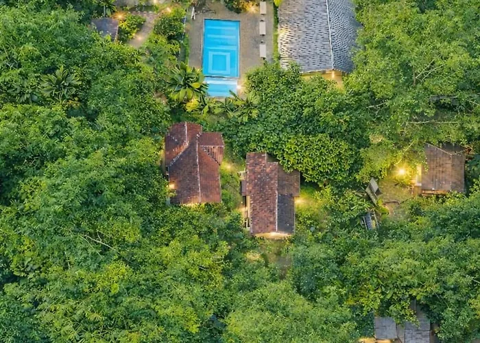Le Eden Premium Wayanad Pool Resort