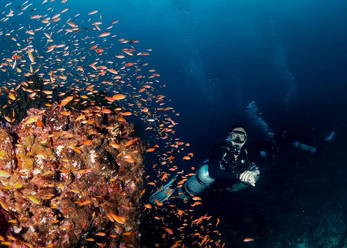 The Pade Dive Resort