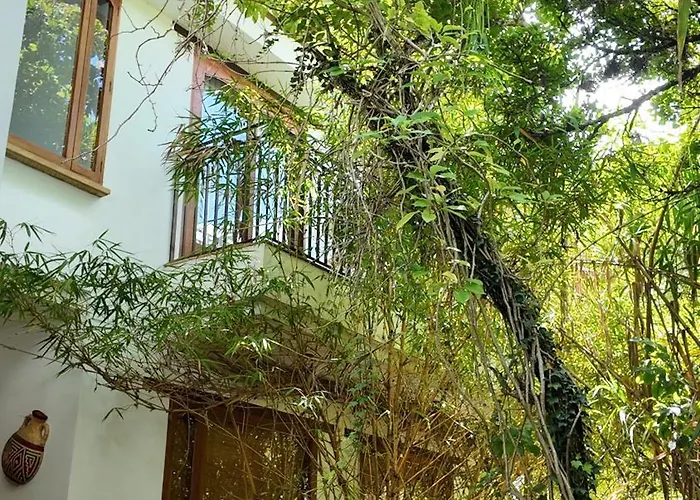 La Casa Del Arbol Hotel Boutique Villa De Leyva