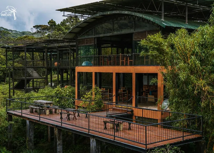 The Rainforest Ecolodge - Sinharaja With Shuttle Service From Car Park