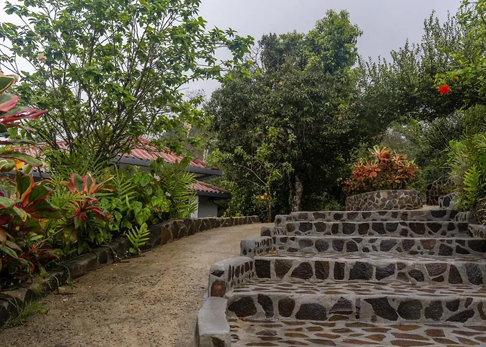 Hotel Alto Monte Hacienda & Spa - Only Adults