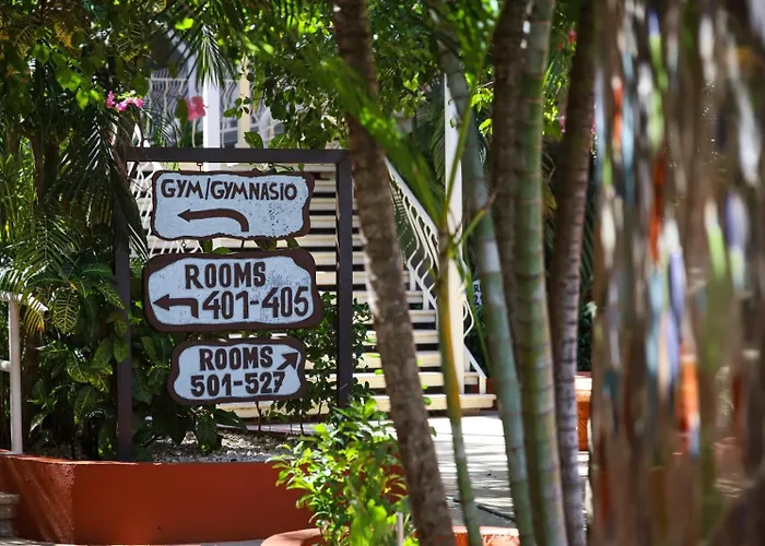 Maravida Social Hotel By Crazy Monkey