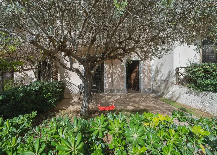 Alice Kite Resort