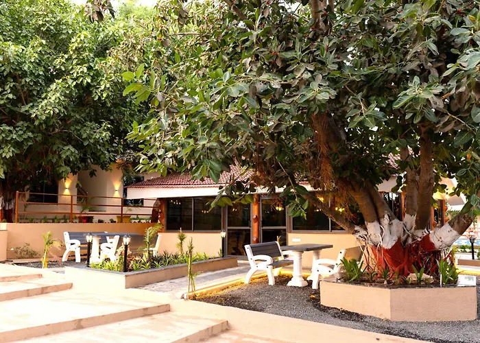 Hiran Gir Retreat - A Family Resort In Sasan Gir