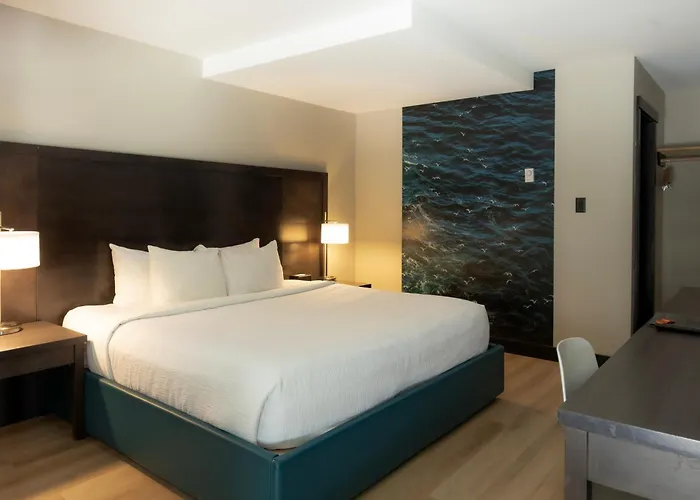 Tofino Resort + Marina