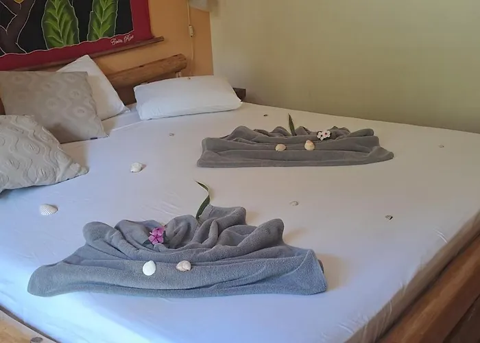 Samara Palm Lodge