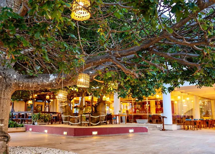 Essque Zalu Zanzibar