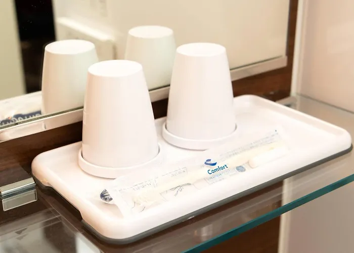 Ski Comfort Inn Tokyo Roppongi (Adults Only)