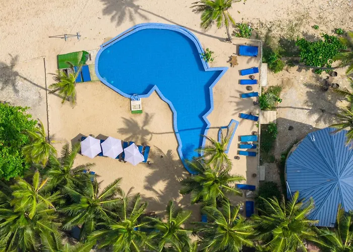 The C Resort & Residences