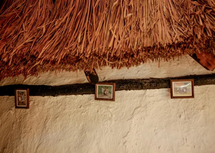 Hotel And Museum Aldea Maya Toktli Origenes - Pool, Wifi Starlink & Mayan House Museum Tour