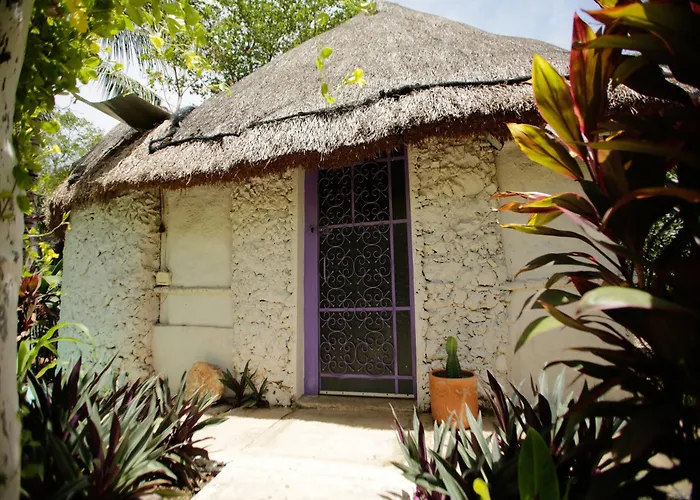 Hotel And Museum Aldea Maya Toktli Origenes - Pool, Wifi Starlink & Mayan House Museum Tour