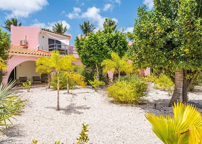 Pink Lagoon By Boutique Bonaire Unique Resorts
