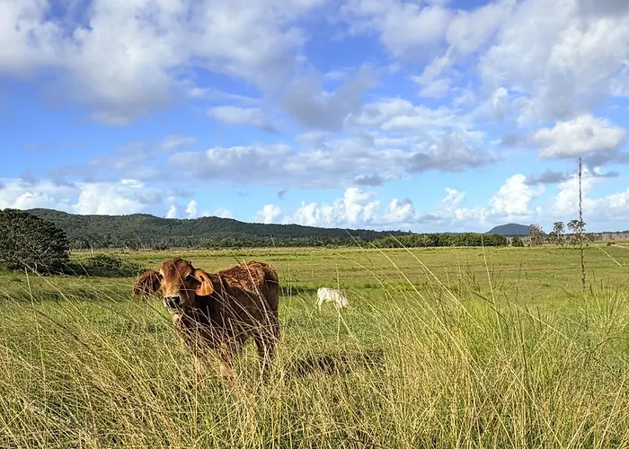 Sunshine Coast Hinterland Retreat - Yandina Station