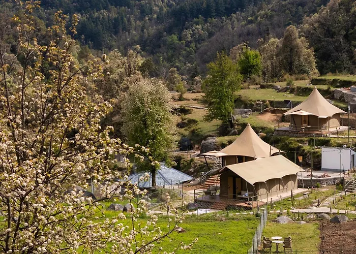 Saraaya Glamps, Dharamshala