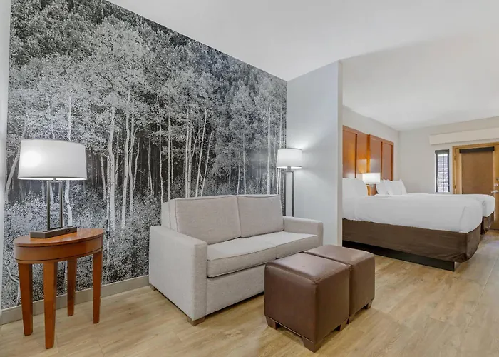 Comfort Suites Golden West On Evergreen Parkway