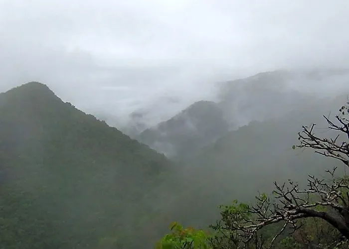 Wildernest Nature Resort