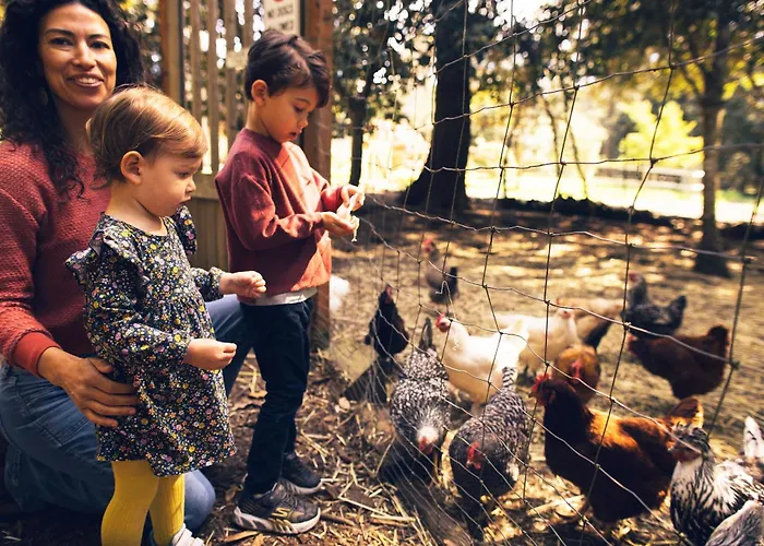 Scp Mendocino Inn And Farm