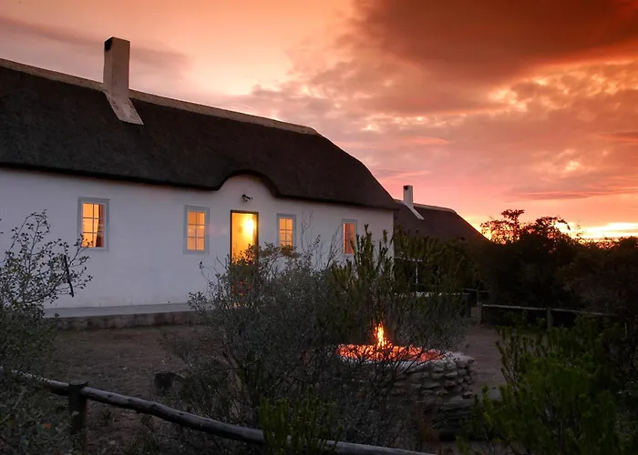 De Hoop Collection