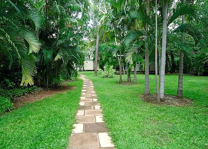 Pandanus On Litchfield