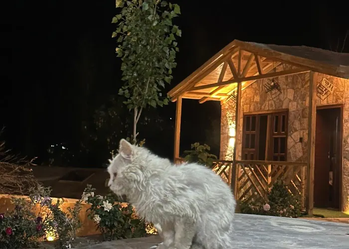 Trivor Resort